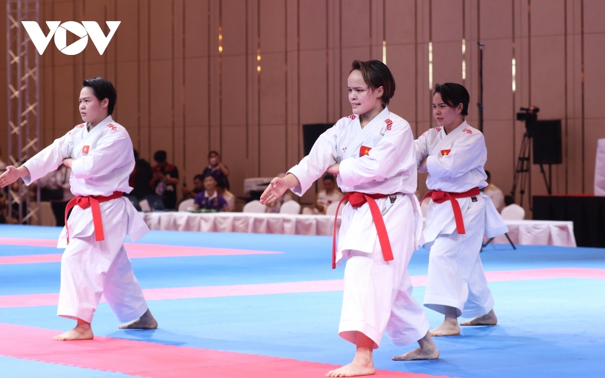 HCM City to host Vietnam-RoK martial arts, culture exchange week 2023